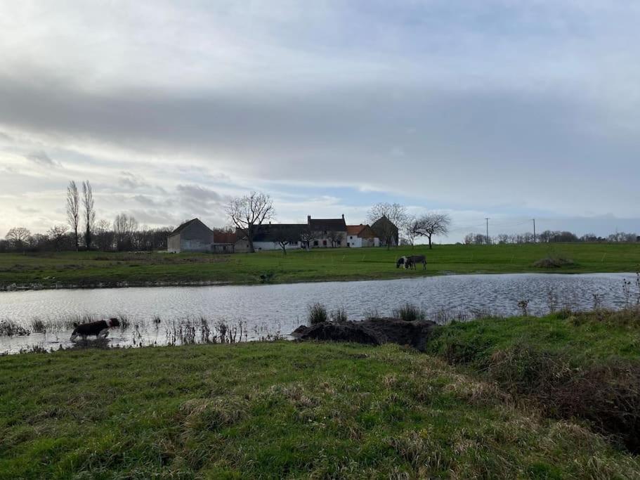 Villenouan Domaine Et Gites Lailly-en-Val Exterior photo